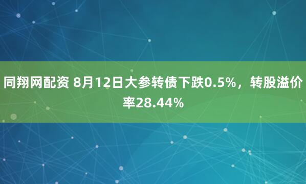 同翔网配资 8月12日大参转债下跌0.5%，转股溢价率28.44%
