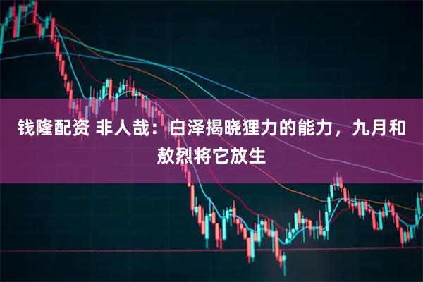 钱隆配资 非人哉：白泽揭晓狸力的能力，九月和敖烈将它放生