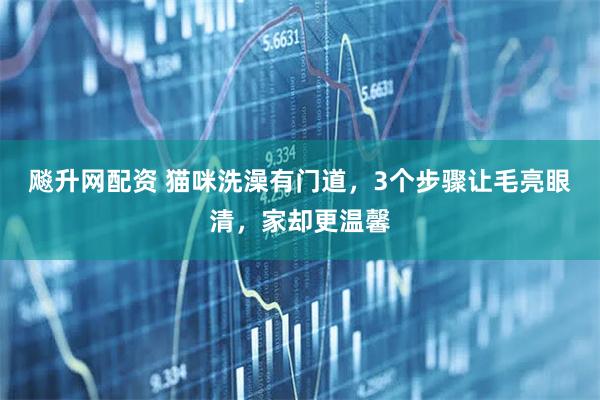 飚升网配资 猫咪洗澡有门道，3个步骤让毛亮眼清，家却更温馨