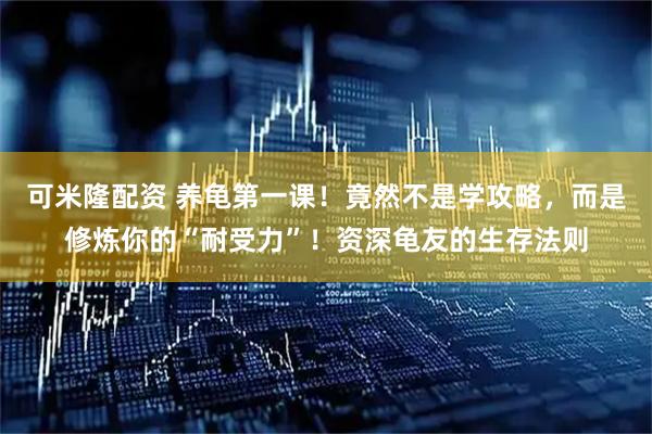 可米隆配资 养龟第一课！竟然不是学攻略，而是修炼你的“耐受力”！资深龟友的生存法则