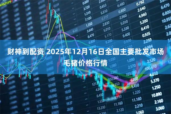 财神到配资 2025年12月16日全国主要批发市场毛猪价格行情